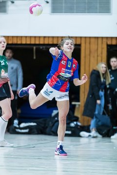 Bild 229 - wBJ HSG Horst/Kieb - HSG Kremperheide/Muensterdorf : Ergebnis: 24:18